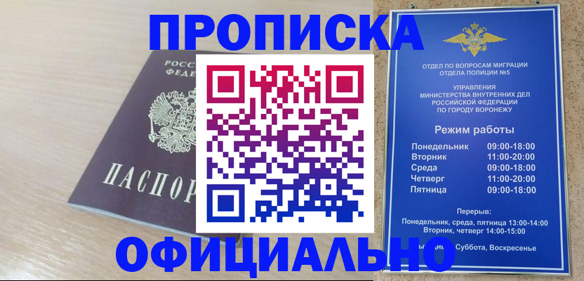 прописка в квартире в Волоколамске